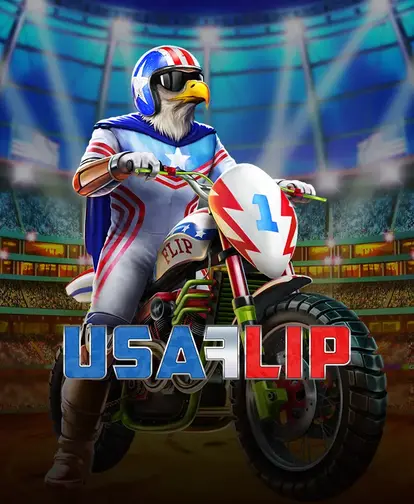 Usa Flip